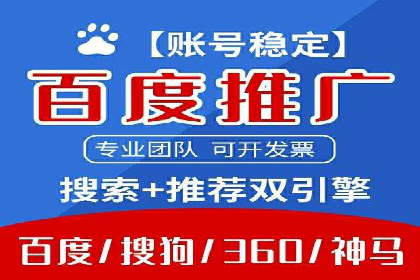 SEM专员案例：数据分析与优化